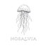 Nosalvia  – Inicio